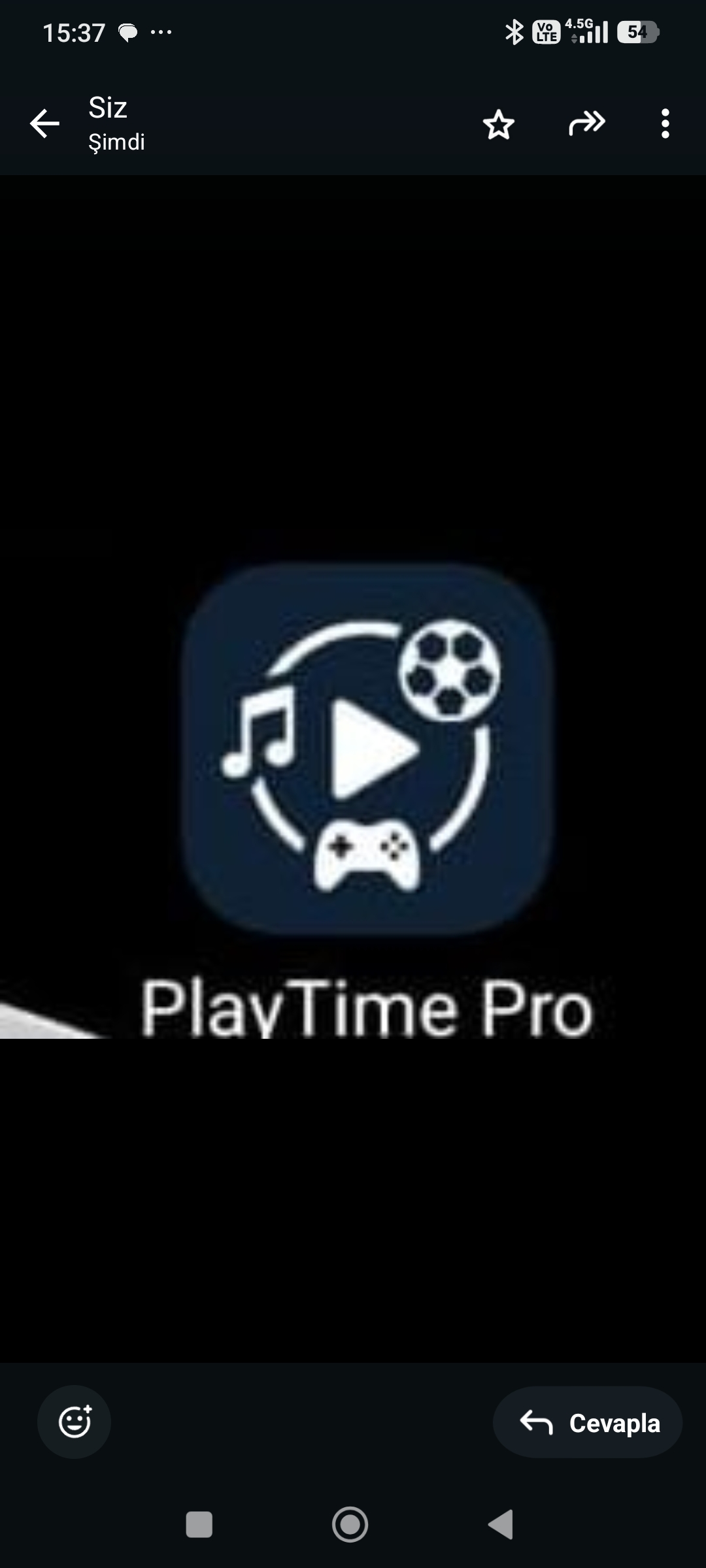 Playtime pro Logo